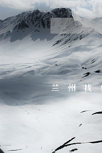 兰州找债务律师法律咨询 兰州找债务律师法律咨询