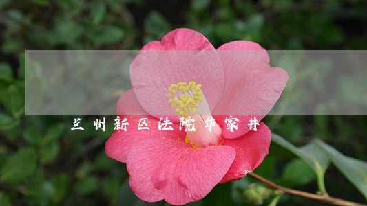 兰州新区法院华家井