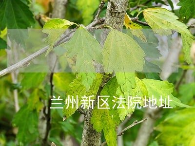兰州新区法院地址 兰州新区法院地址
