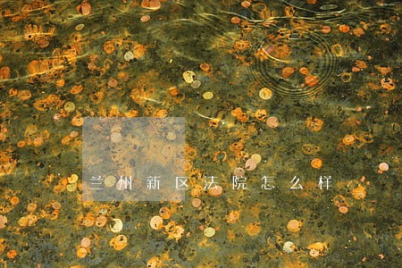 兰州新区法院怎么样 兰州新区法院怎么样