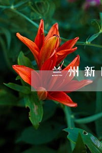 兰州新区法院王钟武 兰州新区法院王钟武