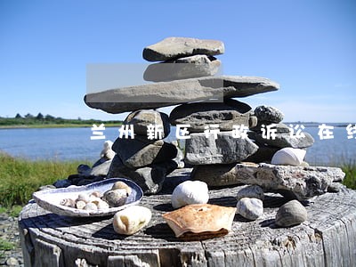 兰州新区行政诉讼在线律师 兰州新区行政诉讼在线律师