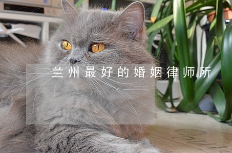 兰州最好的婚姻律师所 兰州最好的婚姻律师所