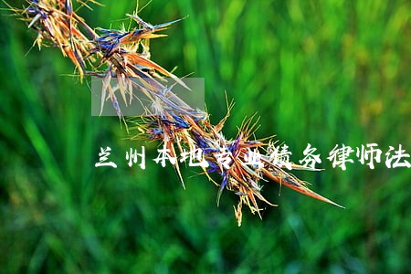 兰州本地专业债务律师法律咨询 兰州本地专业债务律师法律咨询