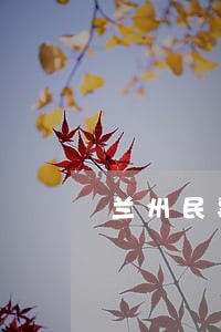 兰州民事债务纠纷律师收费标准 兰州民事债务纠纷律师收费标准