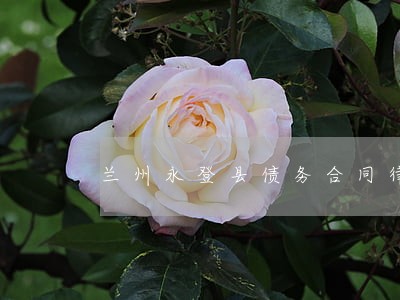 兰州永登县债务合同律师法律咨询 兰州永登县债务合同律师法律咨询