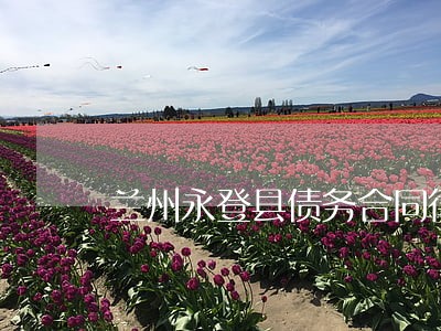 兰州永登县债务合同律师法律服务