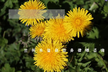 兰州永登县债务律师咨询电话 兰州永登县债务律师咨询电话