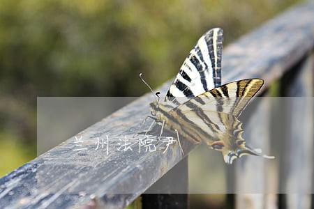 兰州法院尹 兰州法院尹