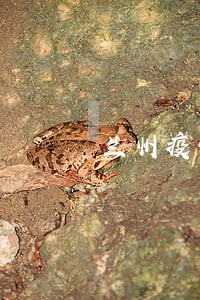 兰州疫情期间逾期90天以上 兰州疫情期间逾期90天以上