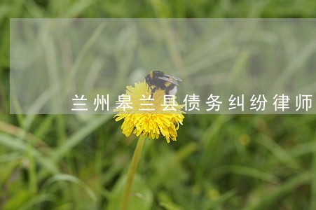 兰州皋兰县债务纠纷律师找谁 兰州皋兰县债务纠纷律师找谁