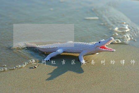 兰州红古区债务纠纷律师多少钱 兰州红古区债务纠纷律师多少钱