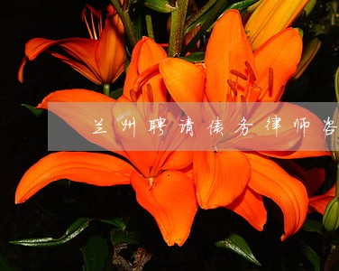兰州聘请债务律师咨询电话 兰州聘请债务律师咨询电话