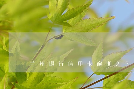 兰州银行信用卡逾期23个月