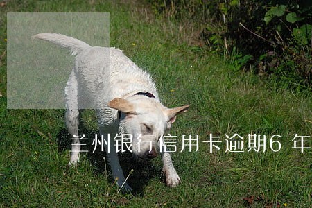 兰州银行信用卡逾期6年了 兰州银行信用卡逾期6年了