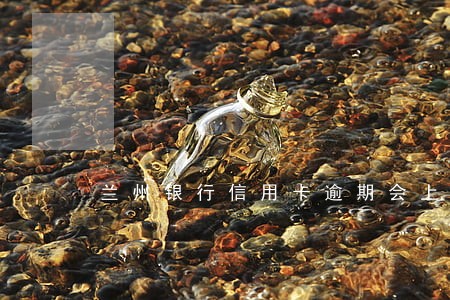 兰州银行信用卡逾期会上门吗 兰州银行信用卡逾期会上门吗