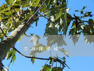 兰林茂律师 兰林茂律师