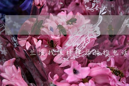 兰溪找保释律师预约电话