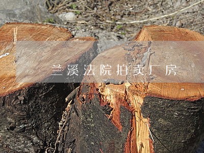 兰溪法院拍卖厂房 兰溪法院拍卖厂房