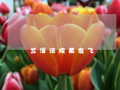 兰溪法院黄良飞 兰溪法院黄良飞