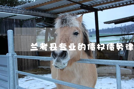 兰考县专业的债权债务律师 兰考县专业的债权债务律师