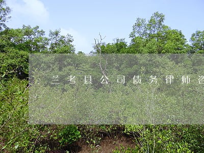 兰考县公司债务律师咨询 兰考县公司债务律师咨询
