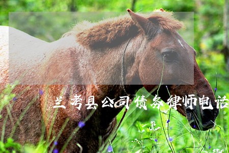 兰考县公司债务律师电话咨询