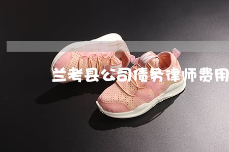 兰考县公司债务律师费用