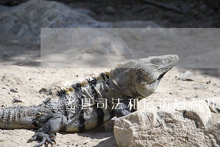 兰考县司法和信访局召开人民调解 兰考县司法和信访局召开人民调解