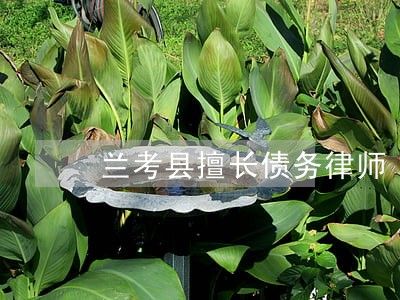 兰考县擅长债务律师 兰考县擅长债务律师