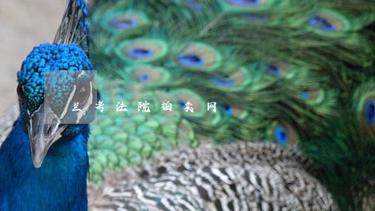 兰考法院拍卖网 兰考法院拍卖网