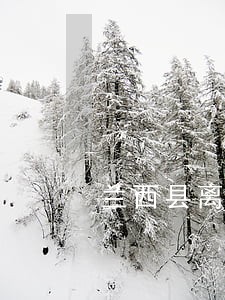 兰西县离婚律师 兰西县离婚律师