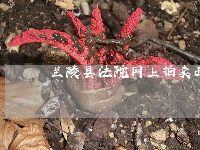 兰陵县法院网上拍卖西城前村 兰陵县法院网上拍卖西城前村