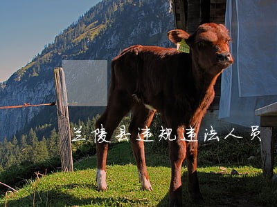 兰陵县违规违法人员 兰陵县违规违法人员