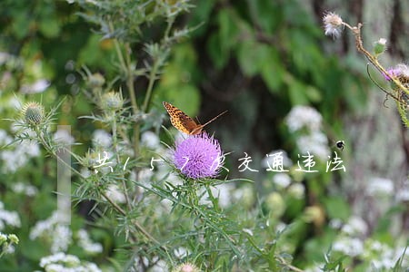 共157次交通违法 共157次交通违法
