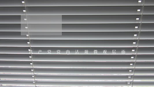 共产党党内法规微观层面 共产党党内法规微观层面