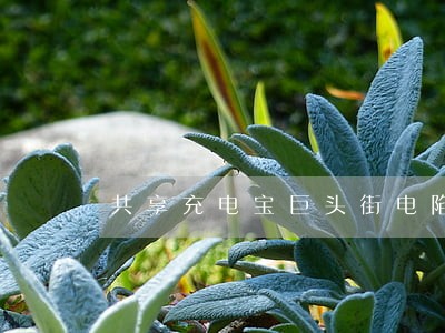 共享充电宝巨头街电陷入专利诉讼 共享充电宝巨头街电陷入专利诉讼