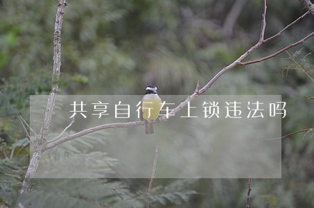 共享自行车上锁违法吗