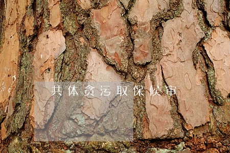 共体贪污取保候审 共体贪污取保候审