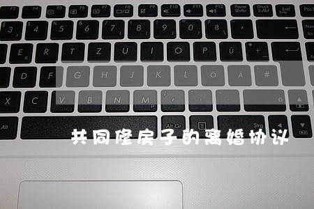 共同修房子的离婚协议 共同修房子的离婚协议