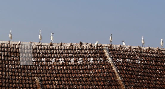 共同债权债务律师咨询电话 共同债权债务律师咨询电话