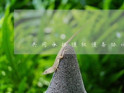 共同承担债权债务协议书模板