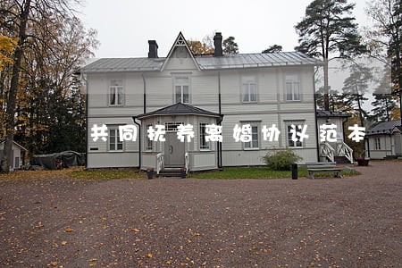 共同抚养离婚协议范本 共同抚养离婚协议范本