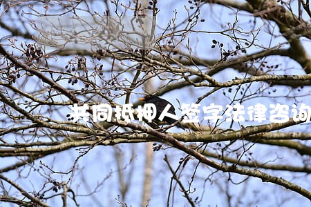 共同抵押人签字法律咨询 共同抵押人签字法律咨询