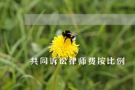 共同诉讼律师费按比例 共同诉讼律师费按比例