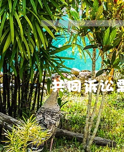 共同诉讼需必备的要件为什么 共同诉讼需必备的要件为什么