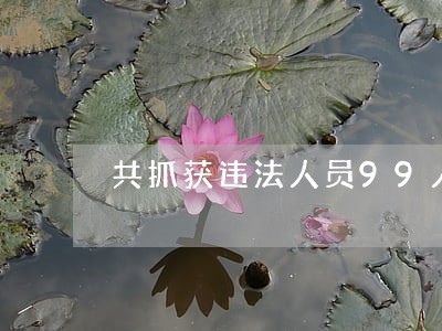 共抓获违法人员99人