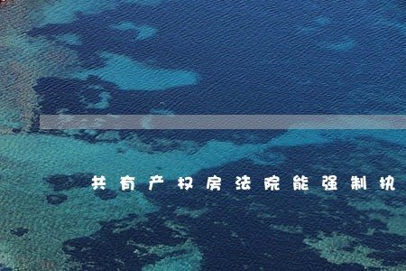 共有产权房法院能强制执行吗 共有产权房法院能强制执行吗