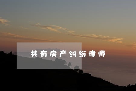 共有房产纠纷律师 共有房产纠纷律师