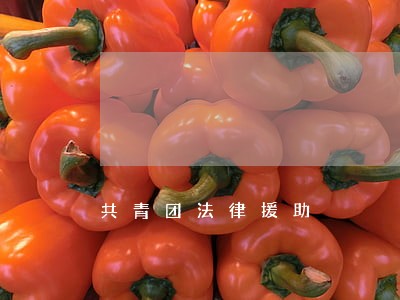 共青团法律援助 共青团法律援助